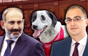 Երբ աչքերը մամայինն են, ձայնը՝ ուսանողինը, իսկ մանդատը՝ Նիկոլինը. 7or TV